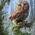 Miek avatar